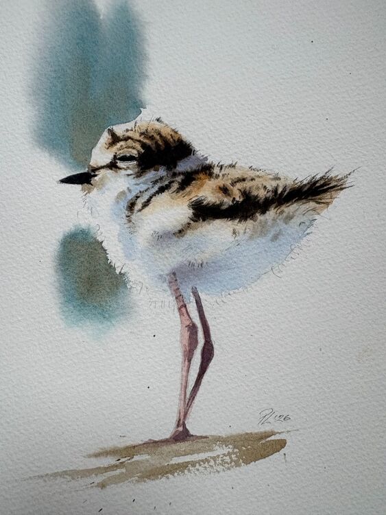 Chick