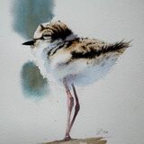 Chick