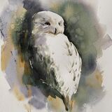 Hedwig