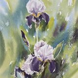 Wild Irises