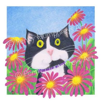 Basil: Looking for the Ladybird