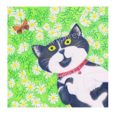 Oskar: Chamomile chill-out