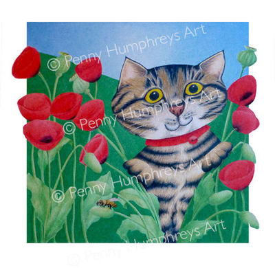 Poppy: Peeking through the Poppies