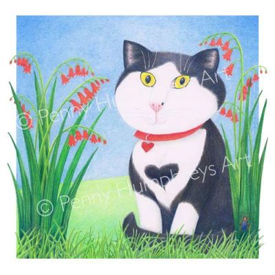 Sweetheart: Bugged by the Beetle?