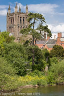 Hereford Cathedral