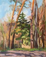 Forest in Spring
