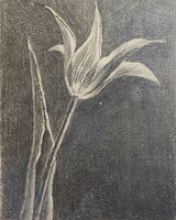 Elegance in Simplicity