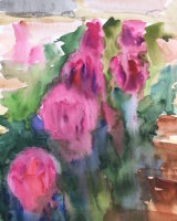 Roses from Hampton Court Gardens