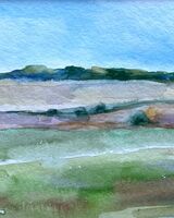 Stonehenge Meadows