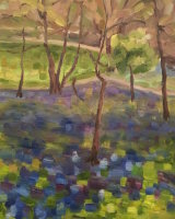 Bluebells <br>at Painshill Park <font color="red">•</font>