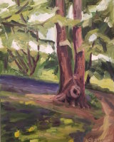 Across the Painshill Park