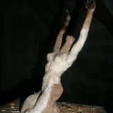 Clay and Wax