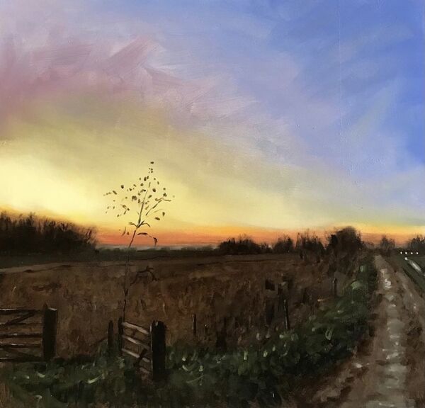 Snettisham Farm Park luminist oil painting of field looking onto Snettisham Farm park