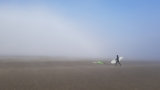 2nd= DPI-Surfs Up....But Where?