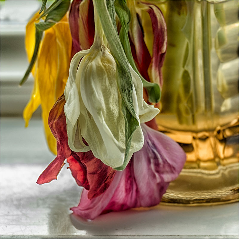 Flower Friday