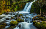 3rd= DPI-Venford Brook In The Spring