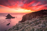 3rd= DPI-Sunset and flowers at Lands End