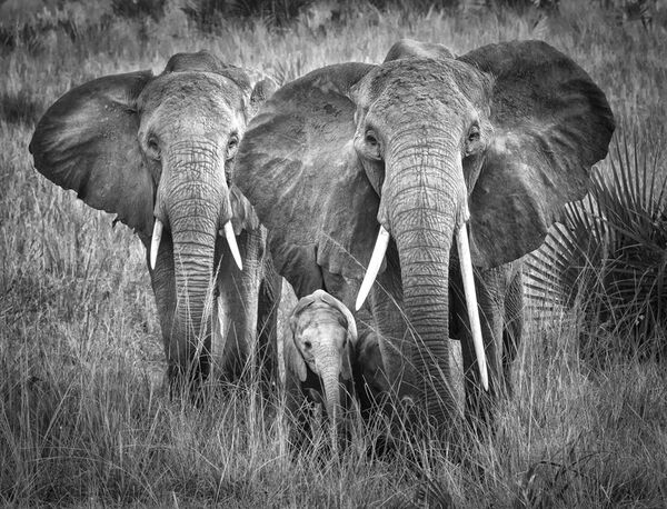 Family on the move