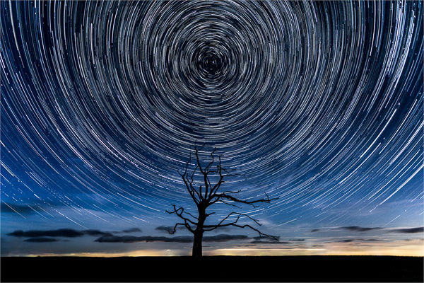 2nd - Lone tree trails