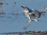 3rd= DPI-Heron Landing