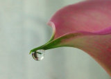 3rd Place Round 3 - Drip