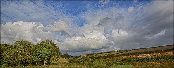 C= Print - Love the Clouds