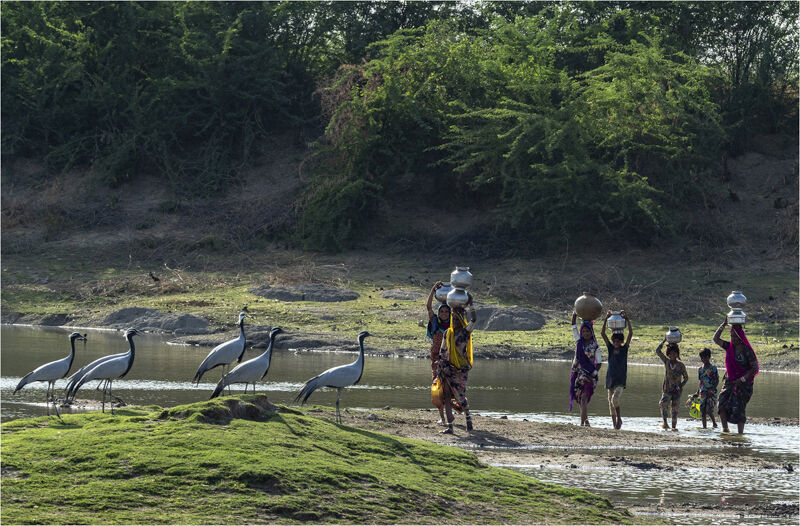 Water collectors, India