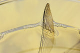 4th Place Round 3 - Dragonfly Wing