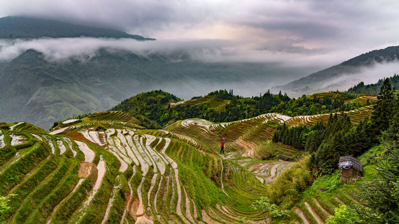 Seven Star With Moon Rice Terraces Longji
