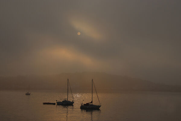 Boats in the Mist