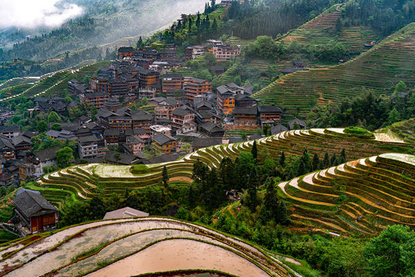 Longji Rice Terrace and Pingan Village