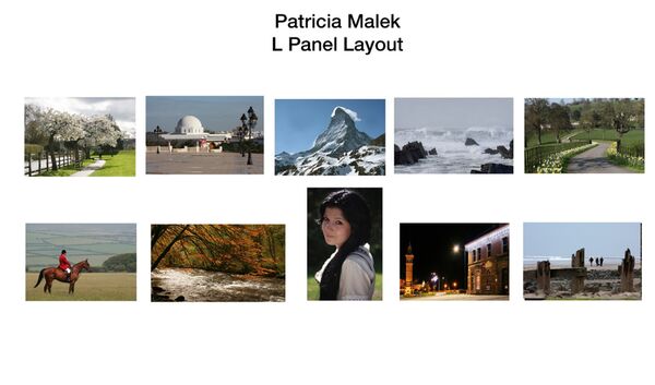 Pat Malek LRPS Panel 2013