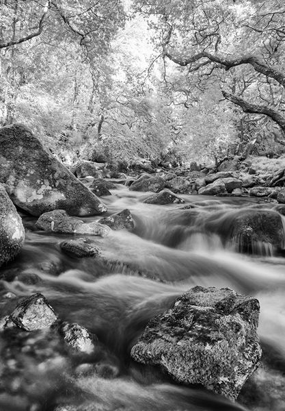 Published in Digital SLR Magazine Feb 2020 issue