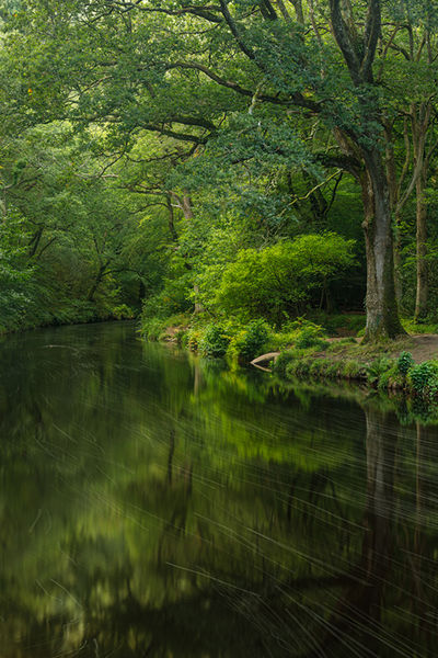 Published in Digital SLR Magazine Feb 2020 issue