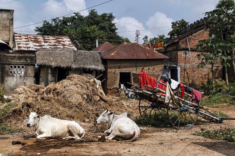 Rural India