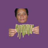 entomologist Dr. Nasreen Muzaffar