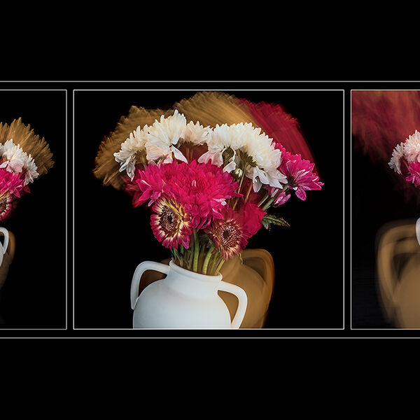 A vase of flowers