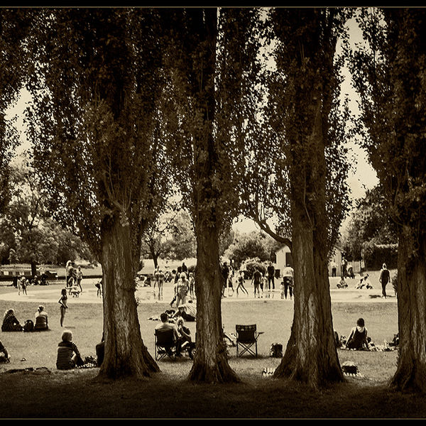 Abbey Meadows on a Summer's day