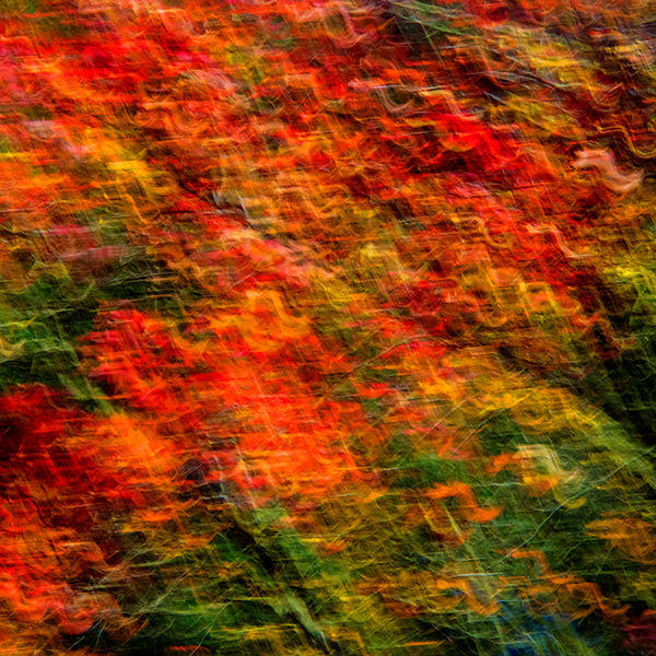Autumn impression 2 (right image)