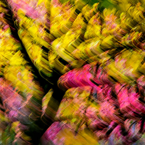 Autumn impressions 1 (left image)
