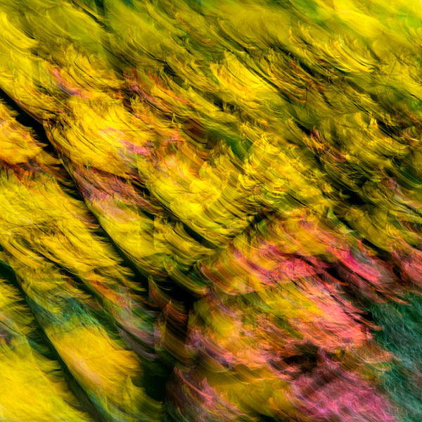 Autumn impressions 1 (right image)