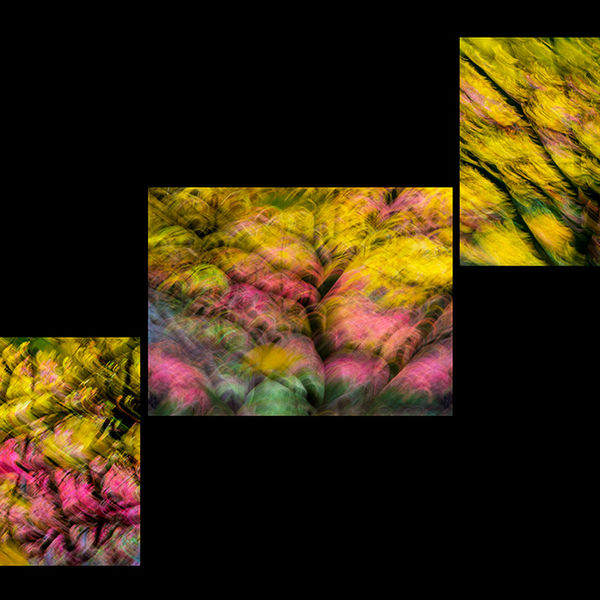 Autumn impressions 1