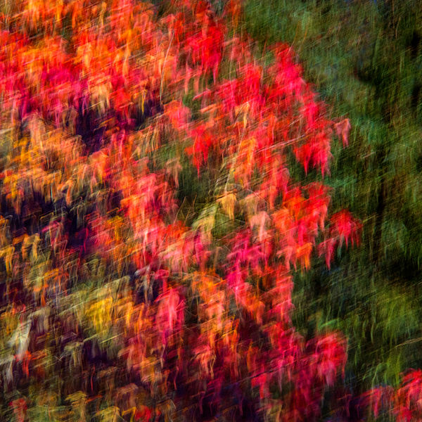 Autumn impressions 2 (left image)