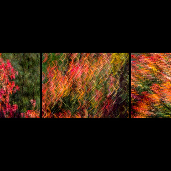 Autumn impressions 2
