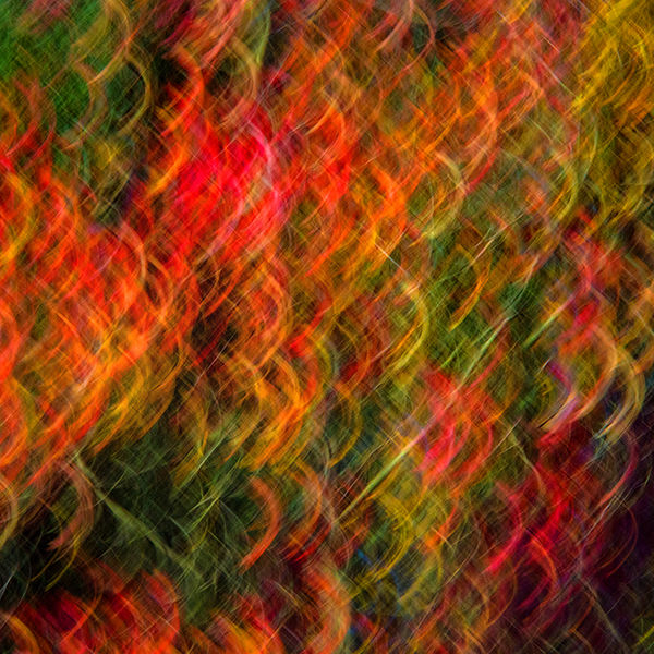 Autumn imressions 2 (centre image)