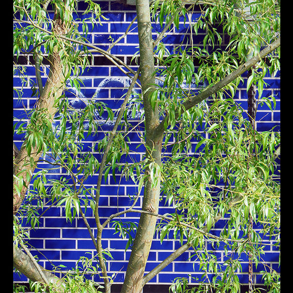 Blue wall