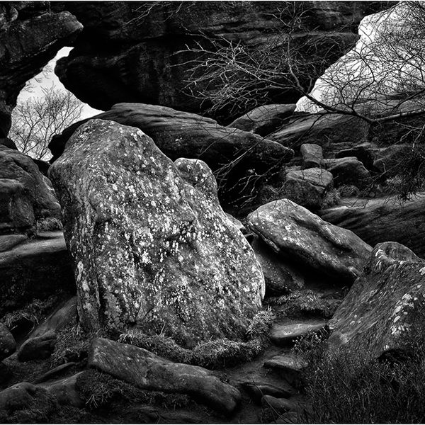 Brimham Rocks, Yorkshire, 2008