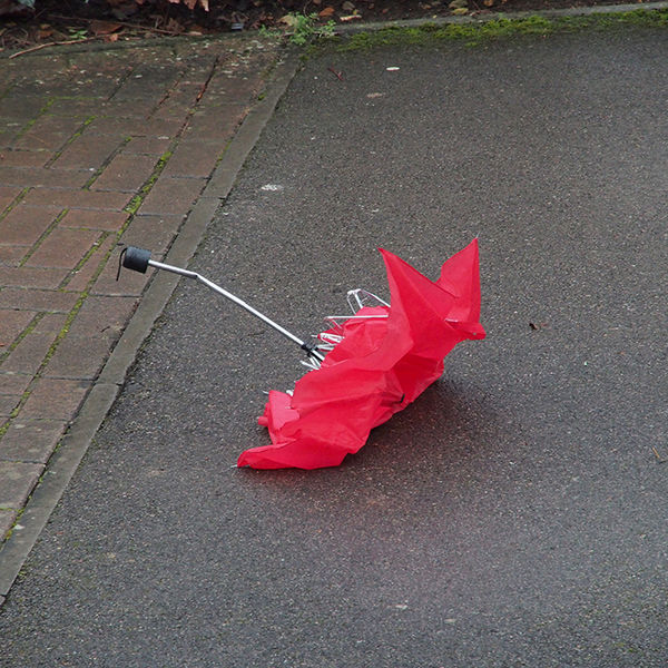Broken umbrella (original image)