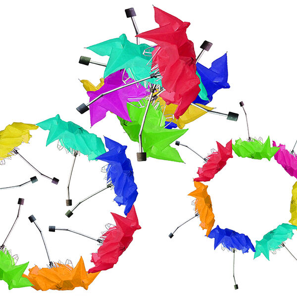 Broken umbrella triptych