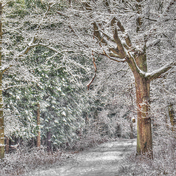Chilly path